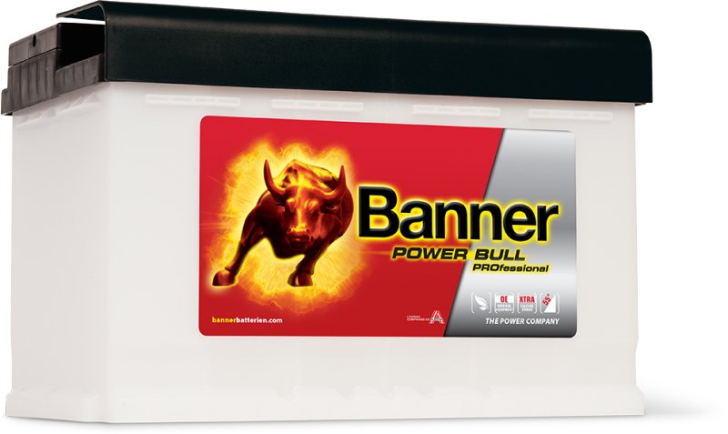 POWER BULL PROFESSIONAL PRO P84 40