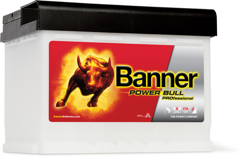POWER BULL PROFESSIONAL PRO P50 40