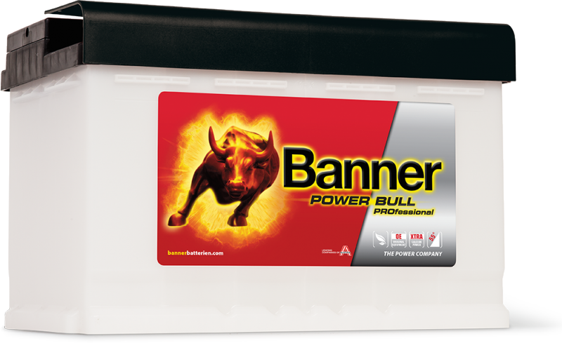 POWER BULL PROFESSIONAL PRO P77 40